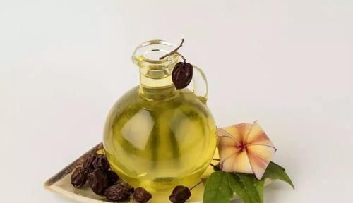 「清除粉蚧虫」花卉的枝叶上长满有绒毛的白色虫子,用下面这些方法就能恢复