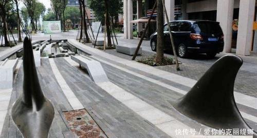 街头突然出现“鲨鱼鳍”，路人拍手称快，司机叫苦连天