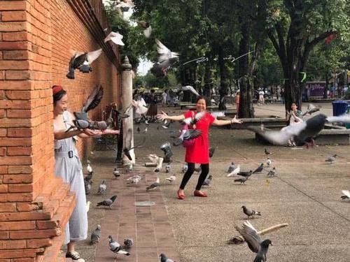 中国游客来泰国清迈旅游，在广场上拍照，竟专门找当地人来吓鸽子