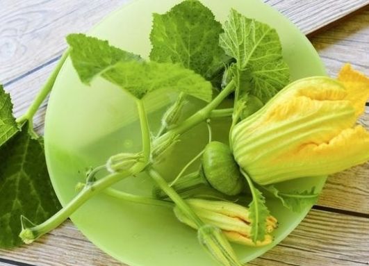  #没错#七八十年代喂猪的野草，不是中药材就是野菜，吃过的是土