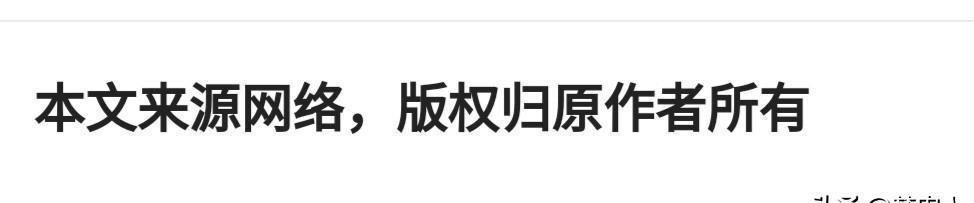 『爱护』什么是爱?包容,理解,尊重,爱护,保护