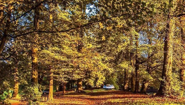 白居易到杭州赴任，途中写下一首绝美的秋景诗，句句都是经典