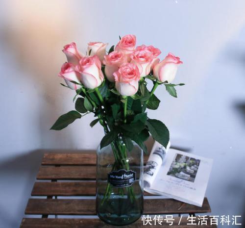 值得|1种花,被称作玫瑰中的精品,颜值高开花多,值得养一株!