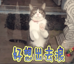 终于来了！莞番高速正式通车！连接东莞一半以上的镇街，横穿东莞