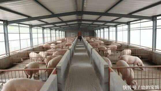  秦英林：大学生辞职养猪，27年后成河南首富，身价是宗庆后的2倍