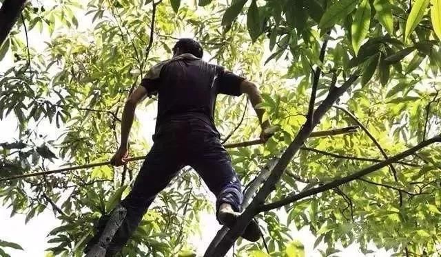 似梦徽州,总有一抹撩人的秋