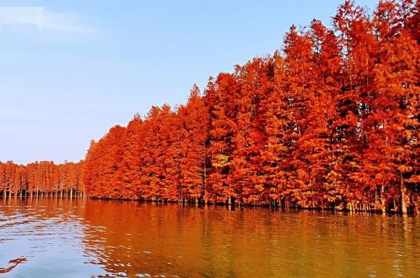 中国用水果命名的城市，除了枣庄，你还能说出几个？
