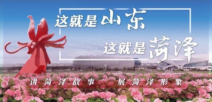 『牡丹』这就是山东 抖一抖牡丹|菏泽牡丹越开越美丽,原因何在?
