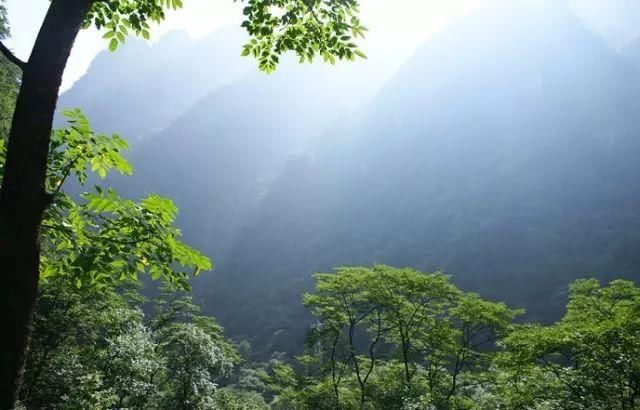 秦岭深藏敢与九寨沟媲美的地方！有条惊艳的自驾公路