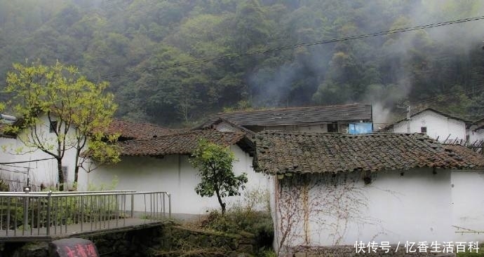  「农村」10年后，农村最值钱的不是房子和车子，而是这四样东西