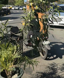  「明明」明明养的是狗，可主人太想要猫了，所以...