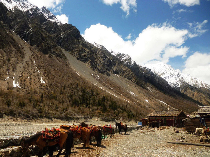 川藏318，我们在路上（15天川藏线自驾游攻略）