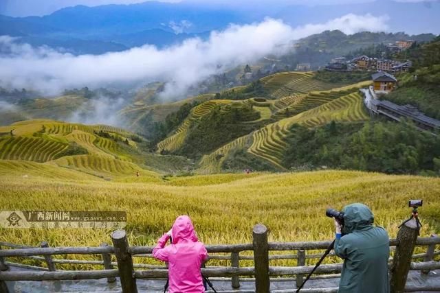 广西十多个县获“自治区级生态县”称号，点进来看有没有你家乡!