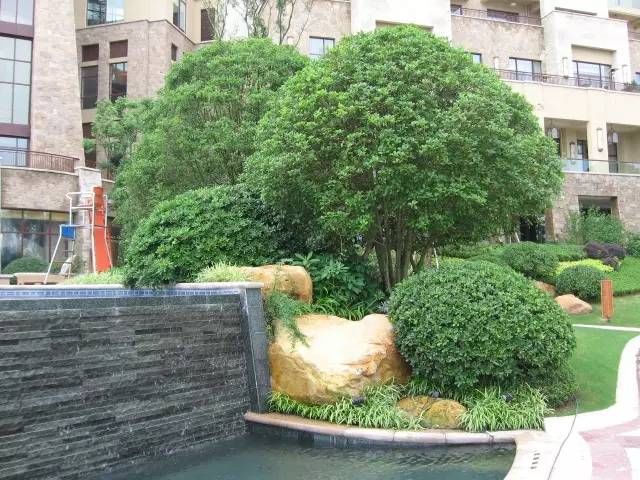  『值得』那些你不知道的地被、花卉植物种植规范，你值得拥有！