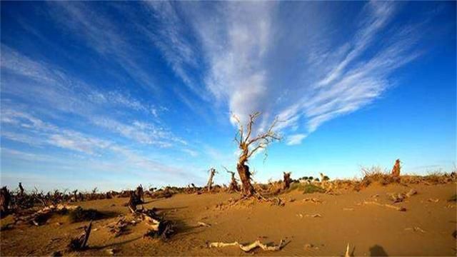 我国最值钱沙漠：不是西北却在南方，别国用一斤粮食换一斤沙被拒