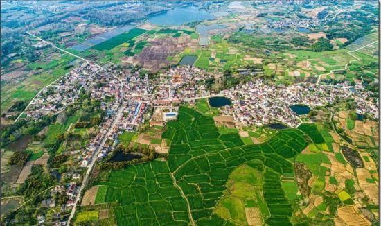  「美丽」换一个角度看美丽乡村——苏湾镇包坊村