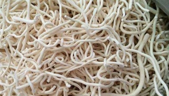  【品种】这种野生植物长在农村，被当地农民当成经济价值品种，