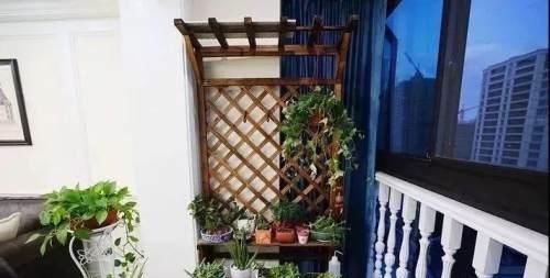  [养花]阳台这样布置，养花和晾衣一个都不耽误