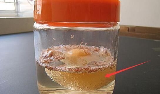 女人40岁有皱纹别傻傻去打玻尿酸, 用点厨房便宜货