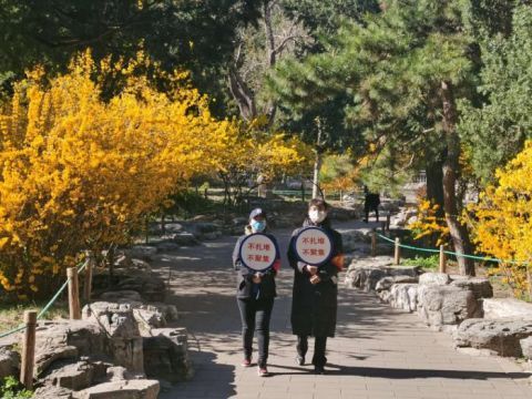  「最严」看北京 | 景山公园最严游园措施出炉 加强疫情防控