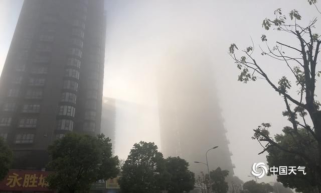  高速@江西抚州吉安赣州多地大雾来袭 高速封闭