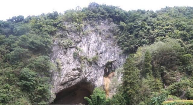  [隐居]最牛钉子户！五代人隐居山洞100多年？政府想扶贫却被他们