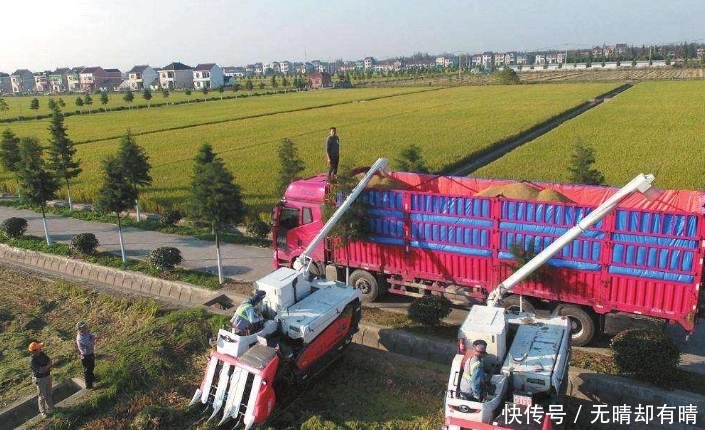 近几年，农民可领这3项补贴，补贴金额可能比粮补的还多