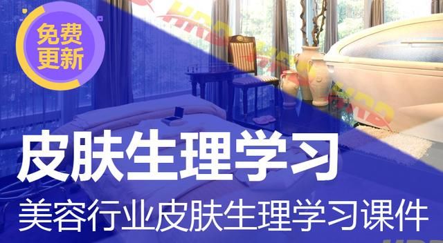 皮肤管理助手｜油性肌肤怎么办，护肤四个步骤让脸部清爽~