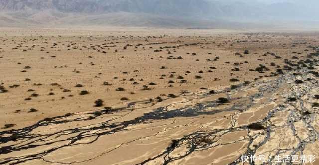 为什么中国沙漠里，有储藏的石油却不去开采看完涨知识了