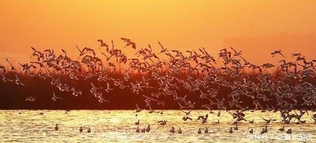 摄影学：完整的摄影画面结构，主体是突出的、背景合适的