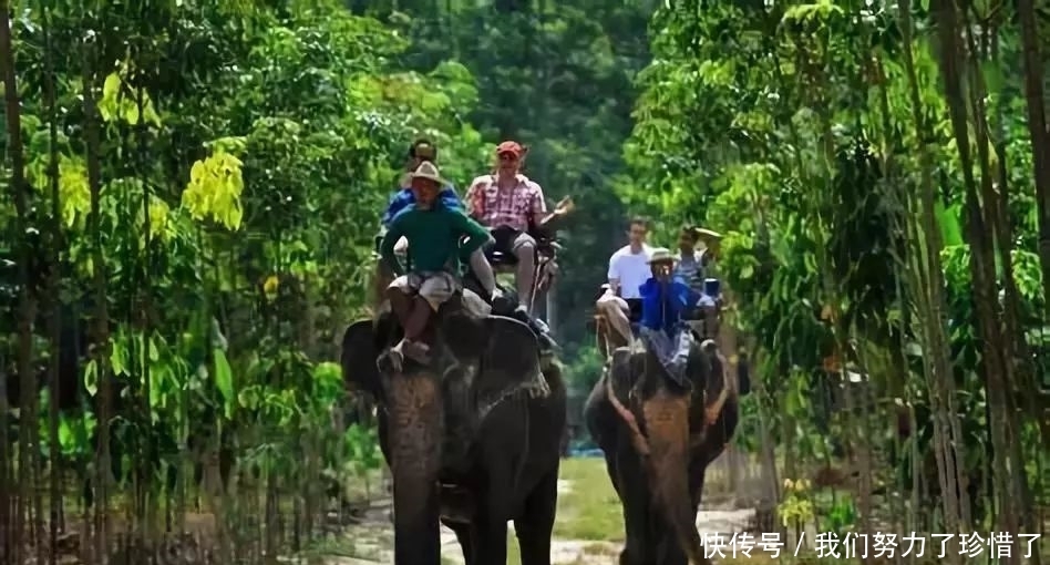温州出发，奇趣泰国多元玩法，赠送澳门一日游，免泰国落地签证费