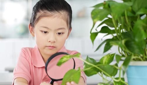 #孩子的专注力#“学霸”和“学渣”的差距不在智商,在这2个能力,6岁前就很明显