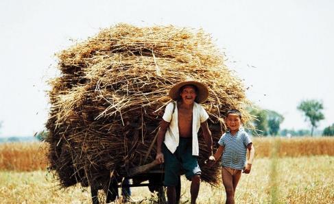  #农村#农村80年代老照片：人与人贫富差距几乎为零，大家钱不多