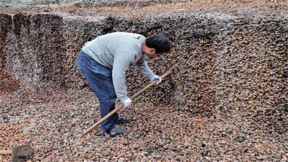 3500年前原始人类吃剩下的螺蛳壳，竟成了遗址，就在云南这里!