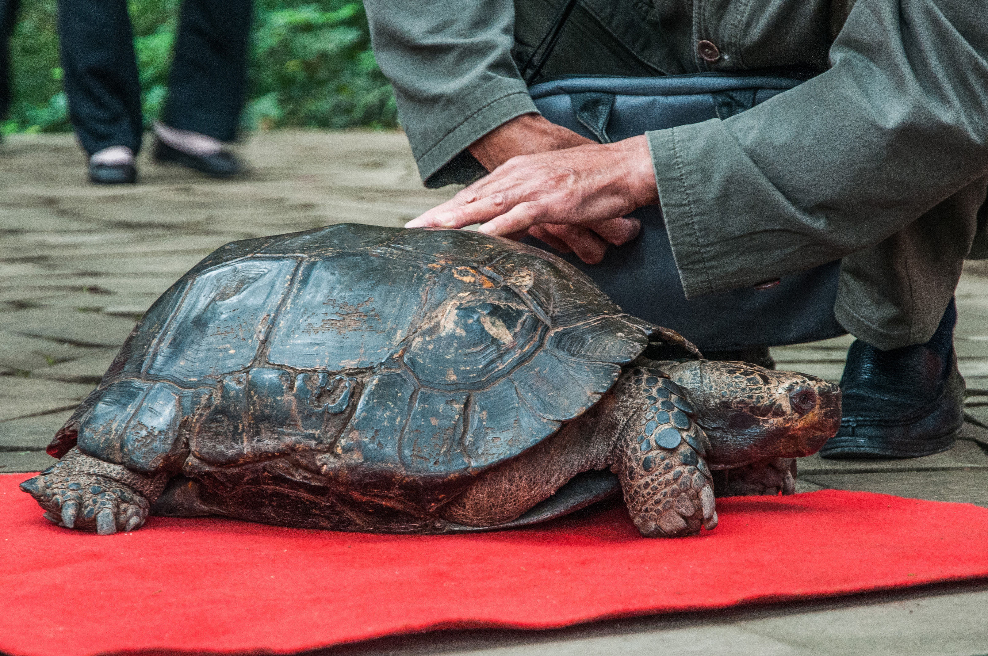 蜀中纪行：游遂宁观音故里 逛千年龙凤古镇
