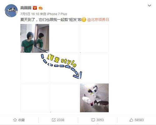 高圆圆剪发晒造型，短发的她更加迷人，网友表示美美哒