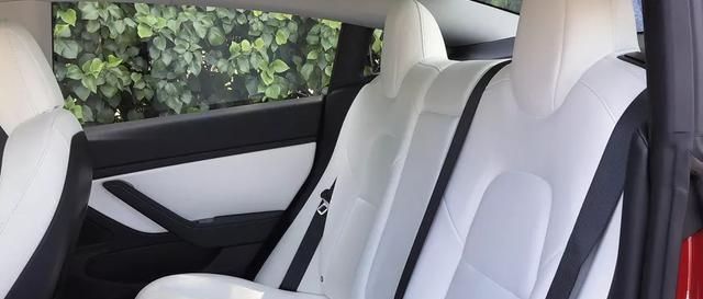  『系列』Tesla Model 3系列中的新顶级装饰——Performance