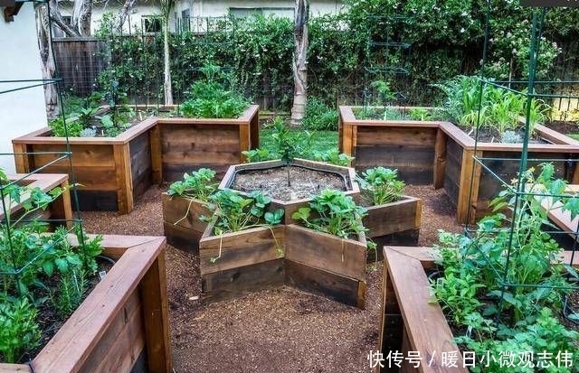  乡下■如果你在乡下有块地，不如这样造个大院子！城里人都羡慕，太美了