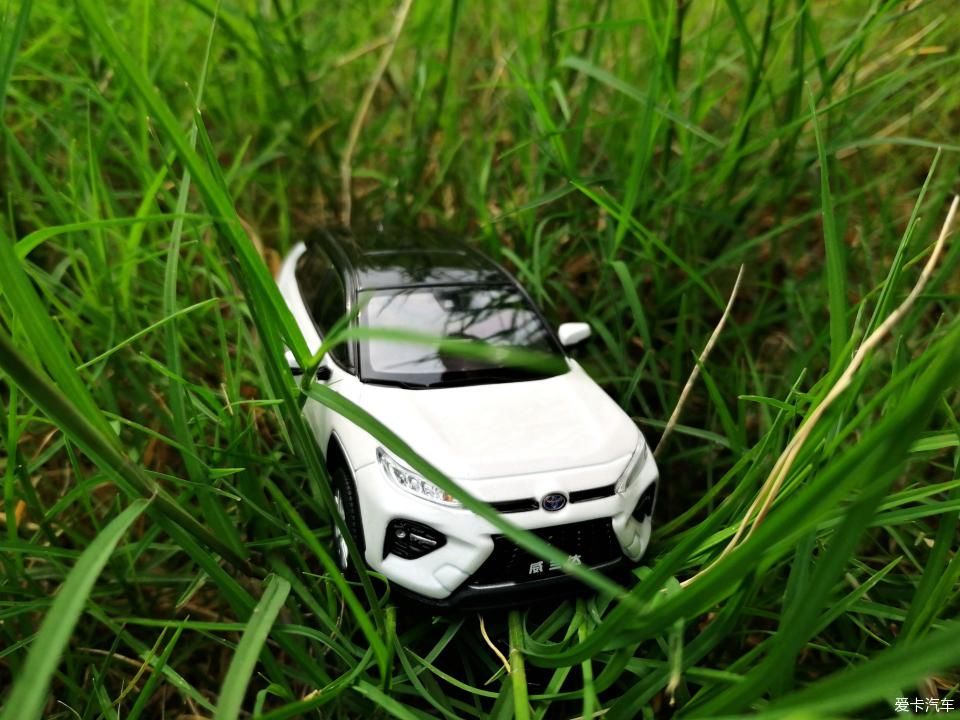 特别:十里春风,打卡滨江公园