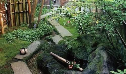 最小的庭院！超美超意境，有仙境的感觉