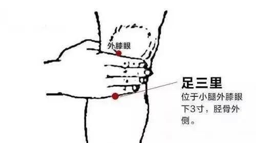  「艾灸足三里」美容，一个穴位就够了