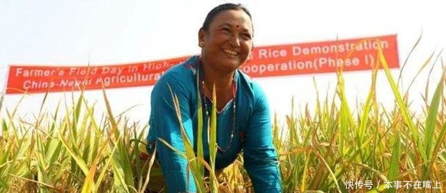 中国的杂交水稻，把尼泊尔的农民吓了一跳！