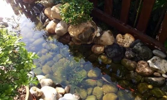  庭院：乡村的庭院，大家为什么这么喜欢