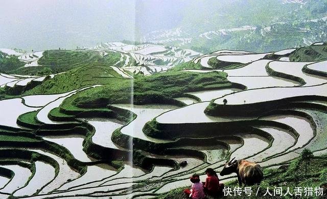 百看不厌，绝版珍藏！三十年前楠溪江畔老照片，张张都是回忆