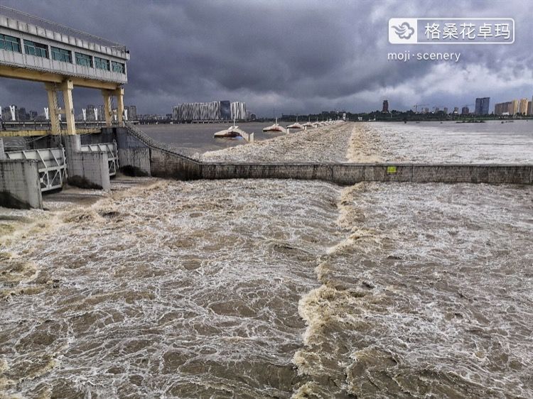 超强台风“利奇马”登陆 山东多地强风暴雨|组图