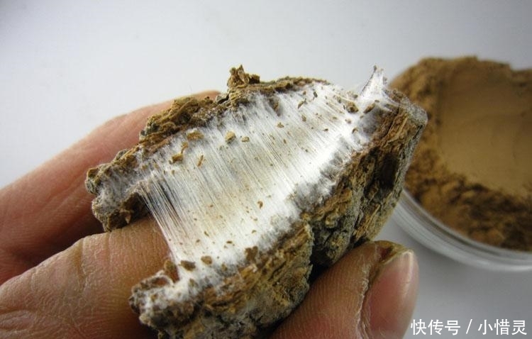  #植物#农村这种树因皮而贵, 内含“银丝”, 被称植物黄金, 有人