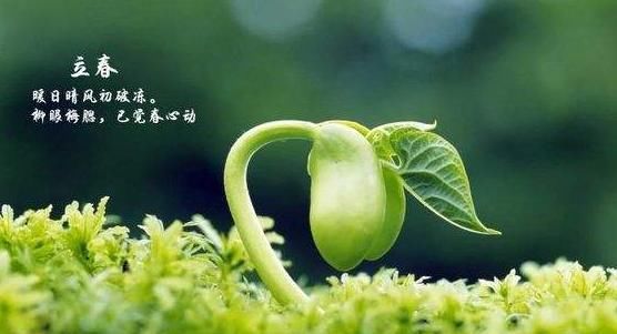  明年@俗语“双春兼闰月，结婚好时年”啥意思？明年是双春年有啥