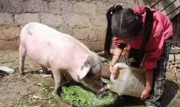 80年代中国记忆, 图1至今买不起, 图4有钱人才用, 图5童年回忆