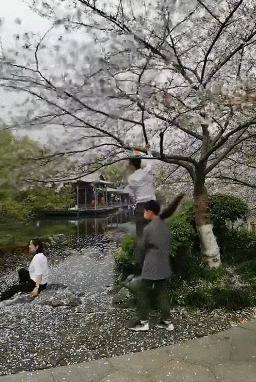  【试试】每日易起:褒贬不一的赛博皮卡 有多少人想试试?