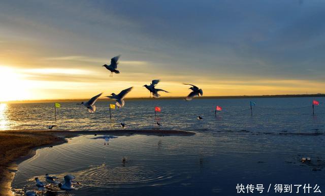 中国最大的沙漠湖泊,有七条河流注入,是当地最大的内陆湖